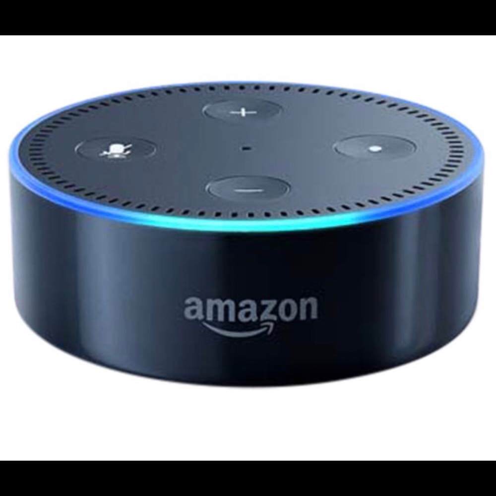 NWT ECHO DOT